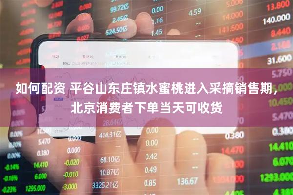 如何配资 平谷山东庄镇水蜜桃进入采摘销售期，北京消费者下单当天可收货